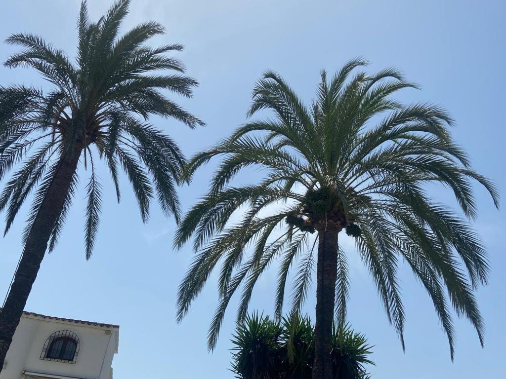 Apartamento Urb Oasis Park II Denia, Las Marinas Экстерьер фото